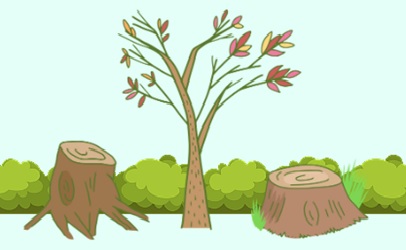 trauma counselling 2